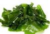 alga wakame